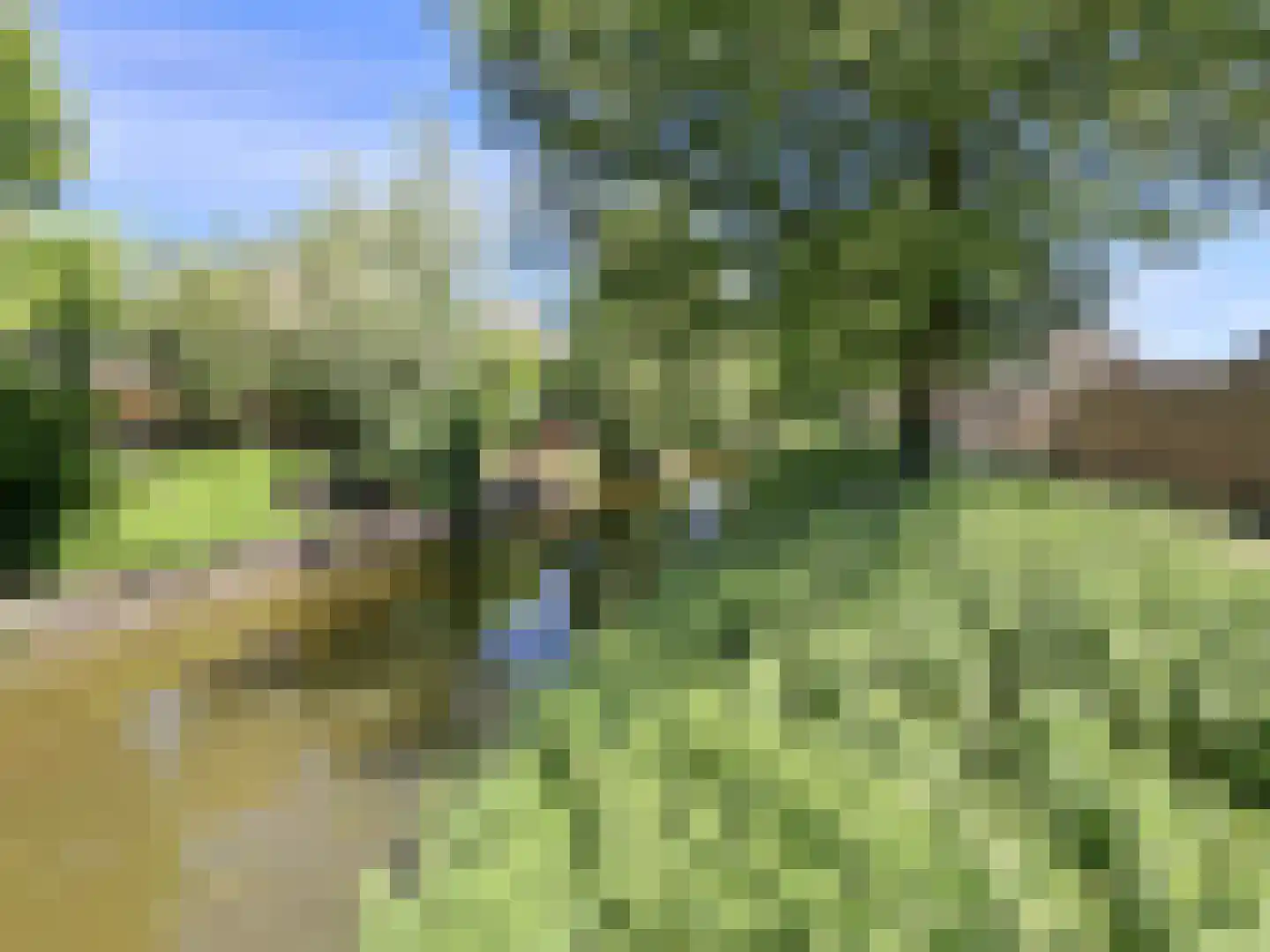 Meester van Goerlestraat 6 's-Hertogenbosch thumbnail 63