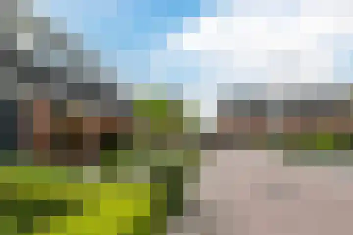 Meester van Goorweg 3 Nieuwlande thumbnail 10