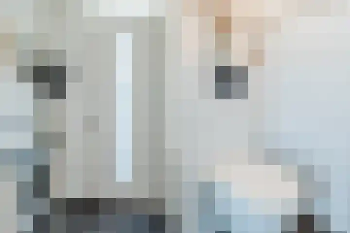 Meester van Goorweg 3 Nieuwlande thumbnail 12