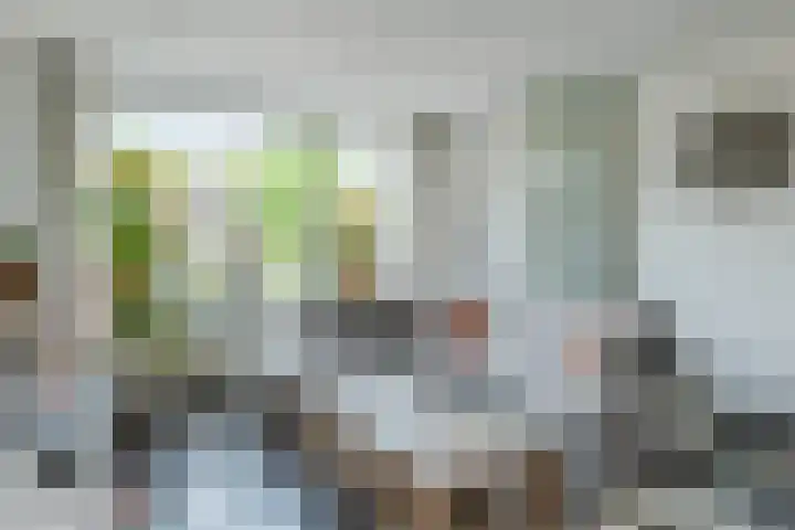 Meester van Goorweg 3 Nieuwlande thumbnail 14