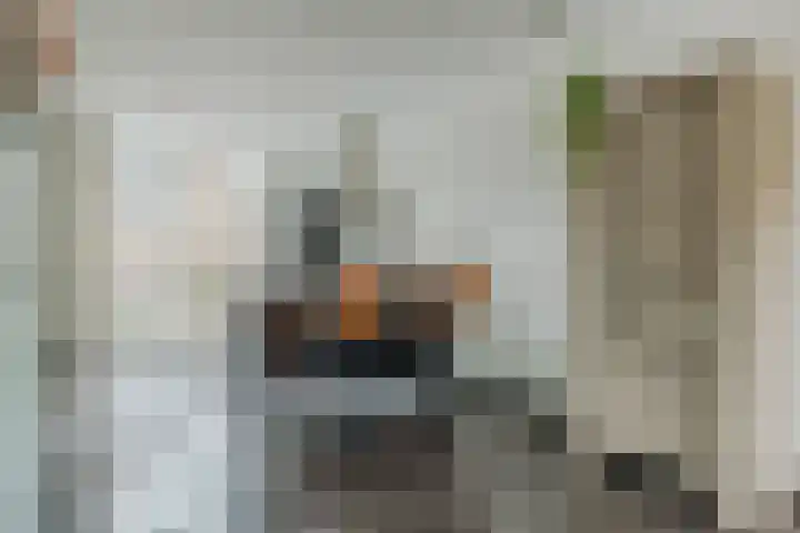 Meester van Goorweg 3 Nieuwlande thumbnail 16