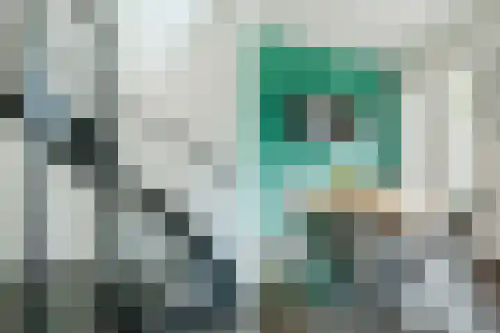 Meester van Goorweg 3 Nieuwlande thumbnail 22