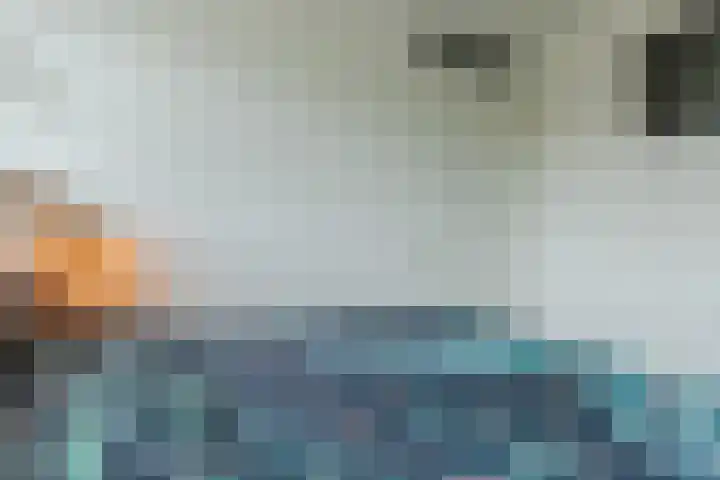 Meester van Goorweg 3 Nieuwlande thumbnail 25