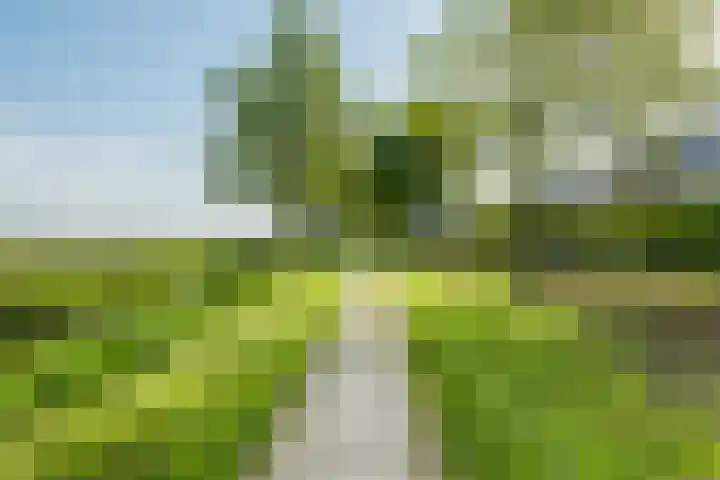 Meester van Goorweg 3 Nieuwlande thumbnail 34