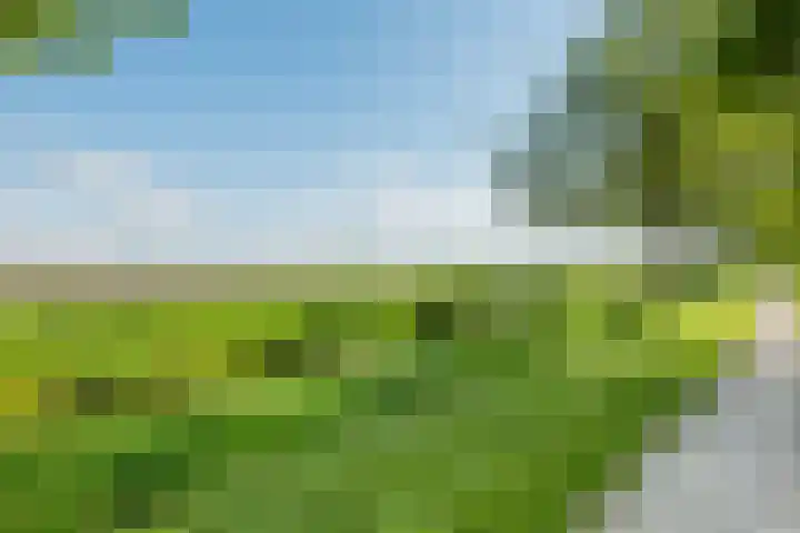 Meester van Goorweg 3 Nieuwlande thumbnail 35