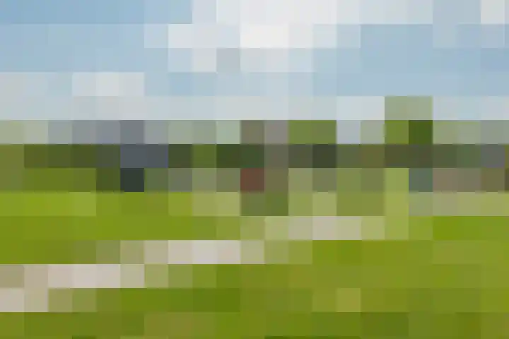 Meester van Goorweg 3 Nieuwlande thumbnail 36