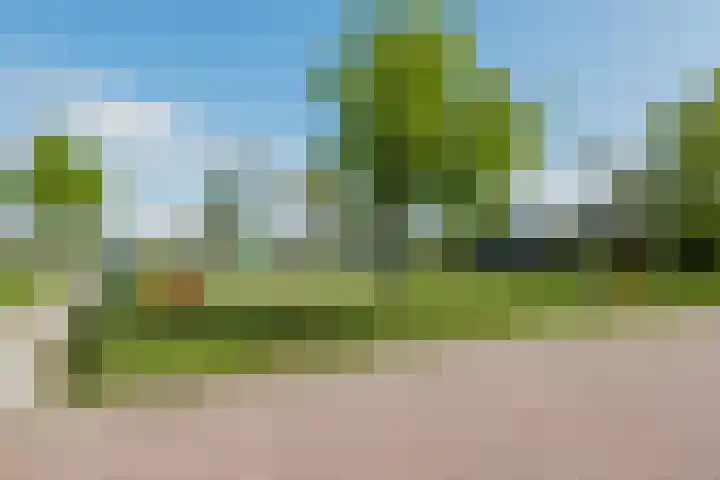 Meester van Goorweg 3 Nieuwlande thumbnail 37