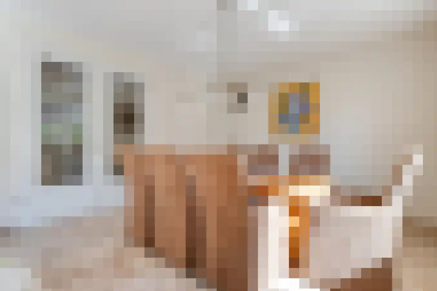 Meester van Goorweg 34 Nieuwlande thumbnail 13