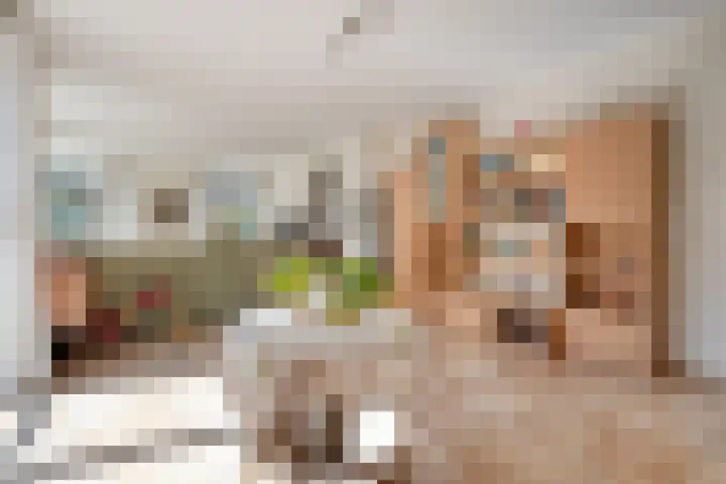 Meester van Goorweg 34 Nieuwlande thumbnail 14