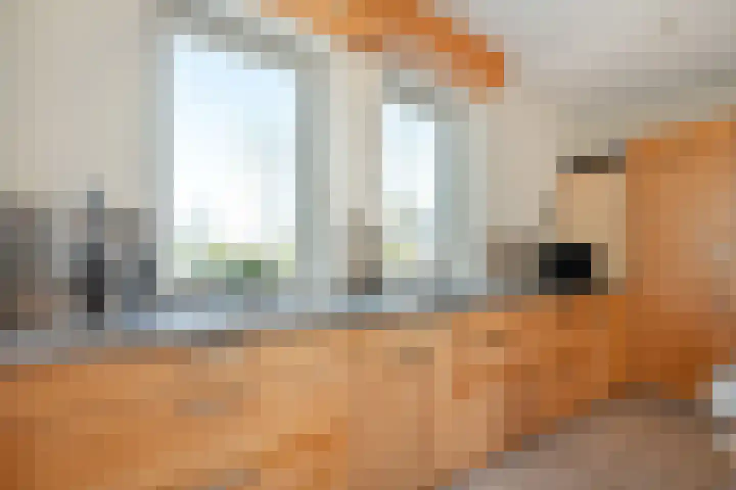 Meester van Goorweg 34 Nieuwlande thumbnail 19