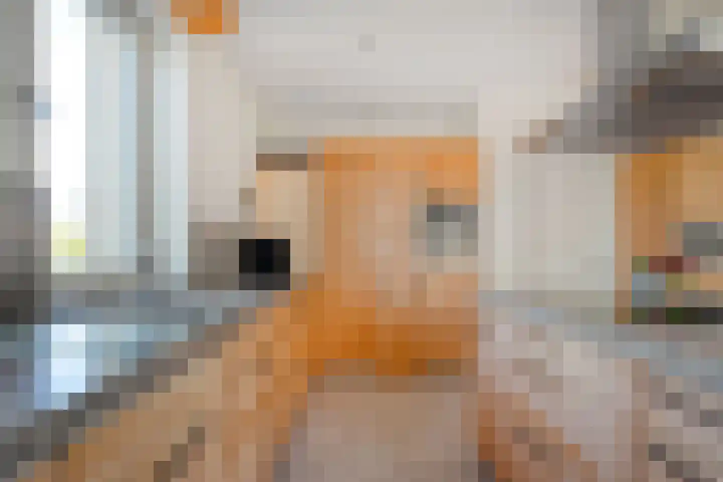 Meester van Goorweg 34 Nieuwlande thumbnail 20