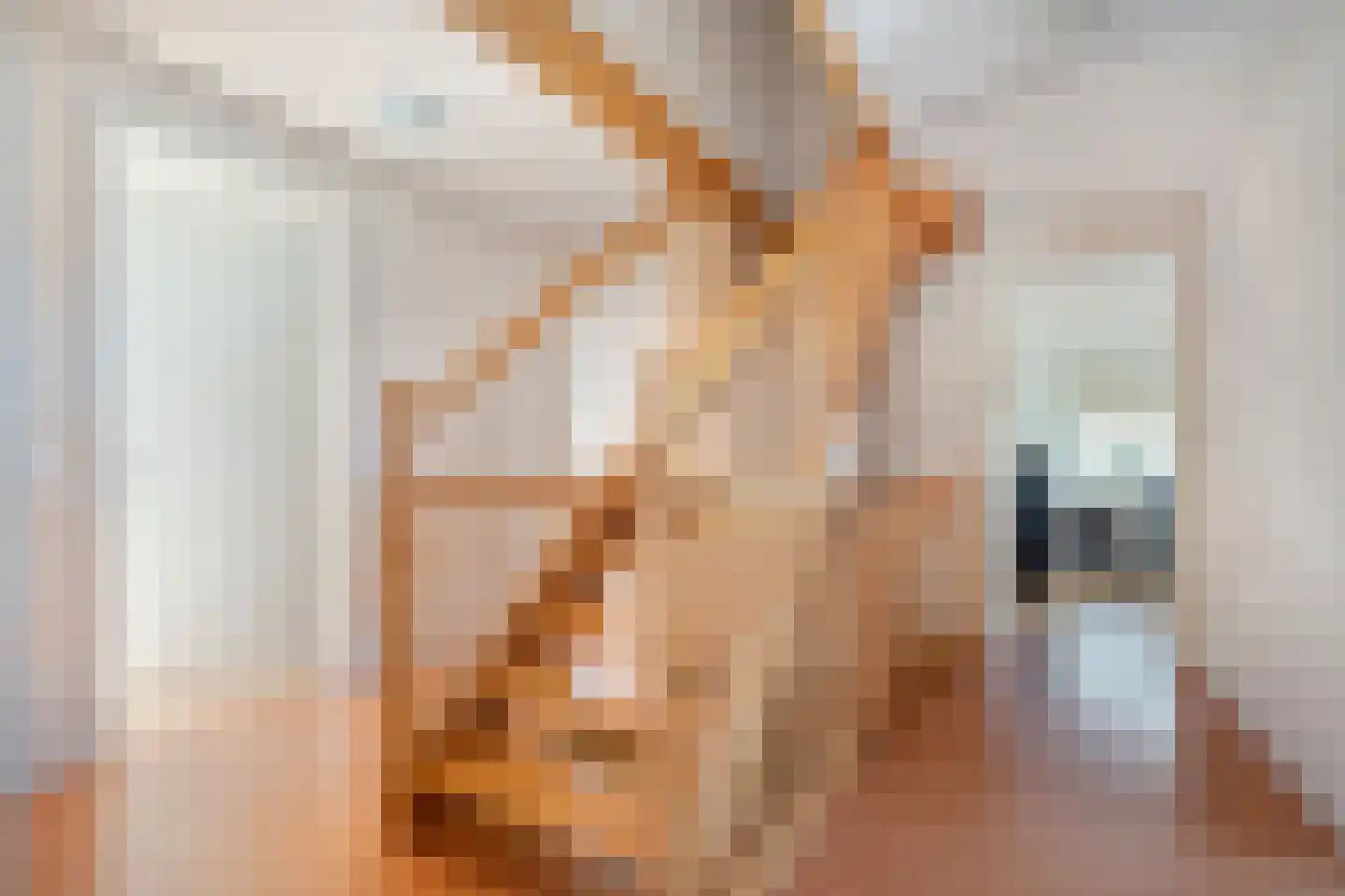 Meester van Goorweg 34 Nieuwlande thumbnail 21