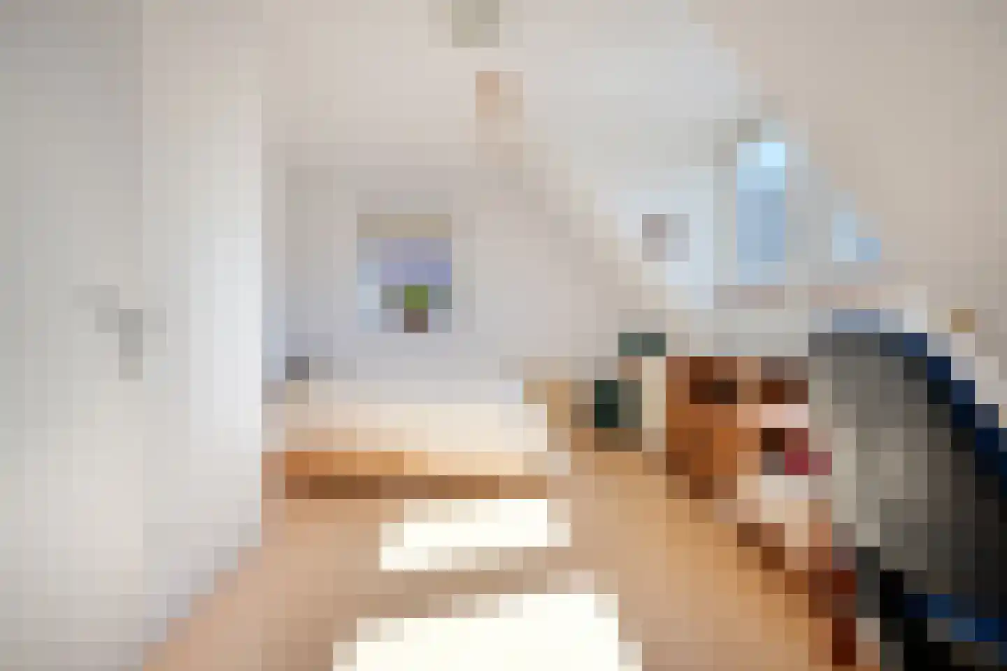 Meester van Goorweg 34 Nieuwlande thumbnail 28