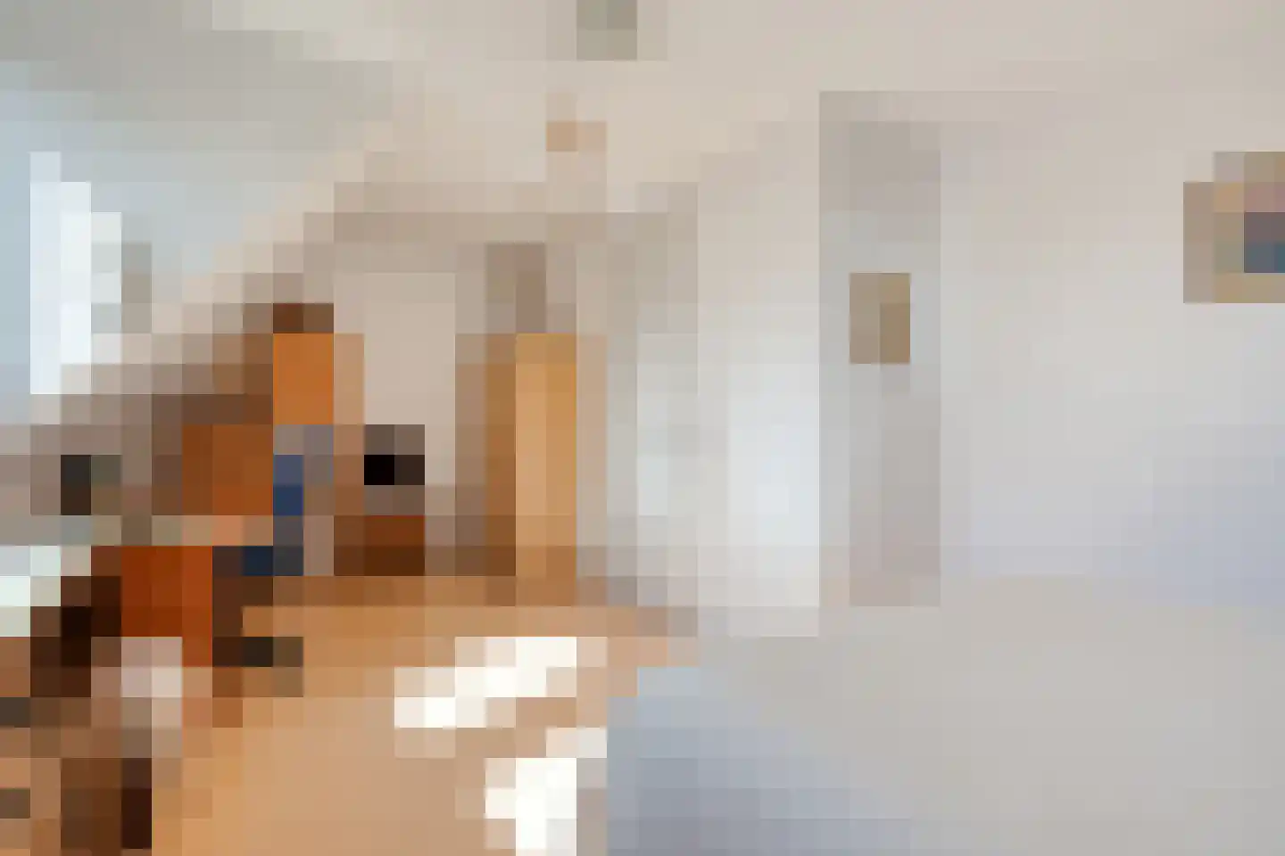 Meester van Goorweg 34 Nieuwlande thumbnail 29