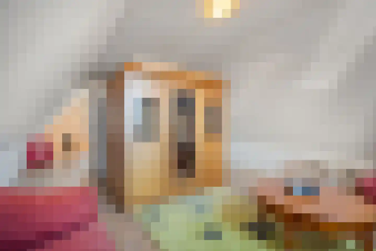 Meester van Goorweg 34 Nieuwlande thumbnail 36