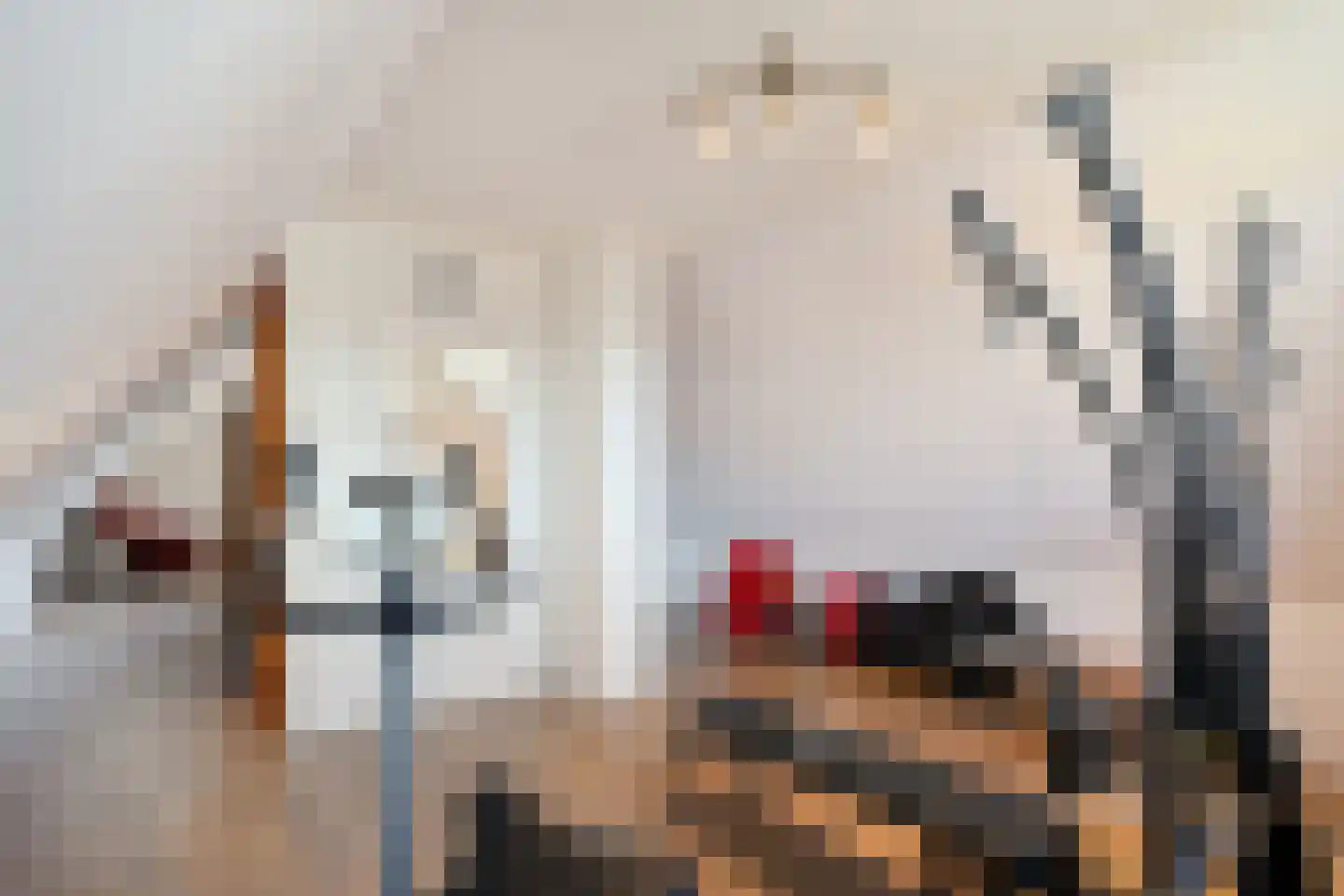 Meester van Goorweg 34 Nieuwlande thumbnail 39