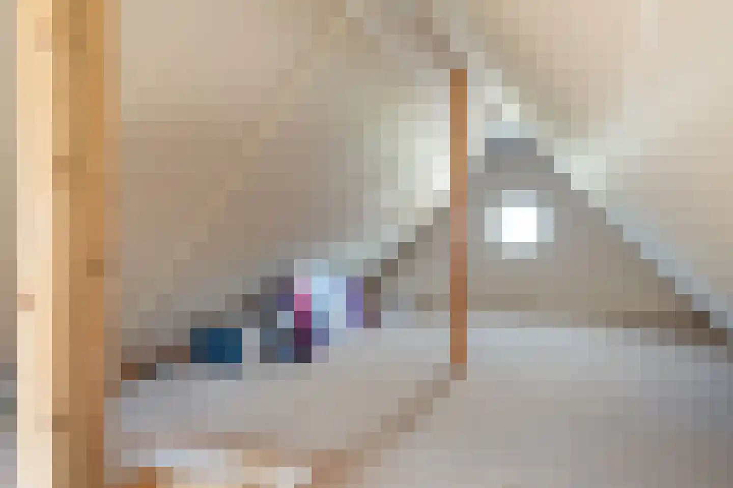 Meester van Goorweg 34 Nieuwlande thumbnail 46