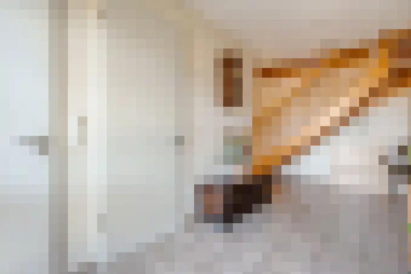 Meester van Goorweg 34 Nieuwlande thumbnail 6