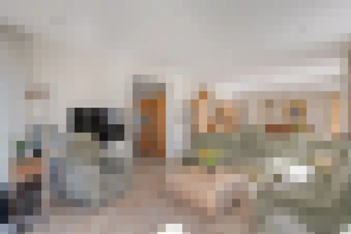 Meester van Goorweg 34 Nieuwlande thumbnail 9
