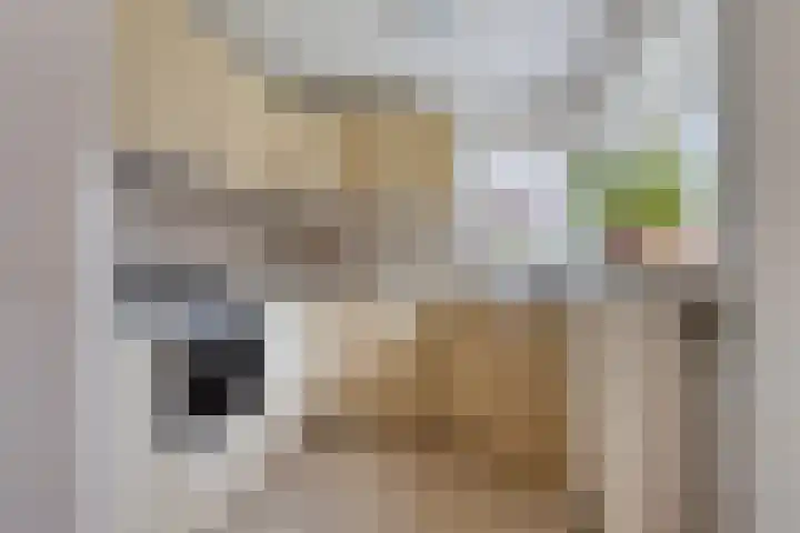 Meester van Hasseltweg 14 Waskemeer thumbnail 14