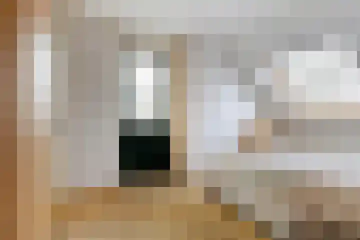 Meester van Hasseltweg 14 Waskemeer thumbnail 15