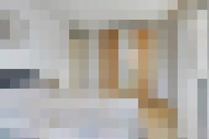 Meester van Hasseltweg 14 Waskemeer thumbnail 16