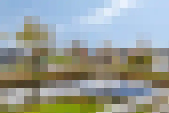 Meester van Hasseltweg 14 Waskemeer thumbnail 17
