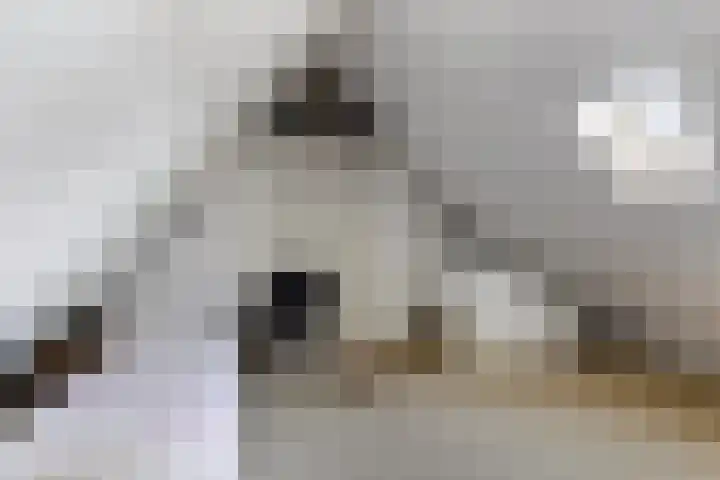 Meester van Hasseltweg 14 Waskemeer thumbnail 25