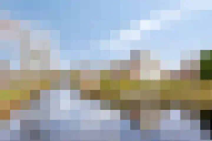 Meester van Hasseltweg 14 Waskemeer thumbnail 27