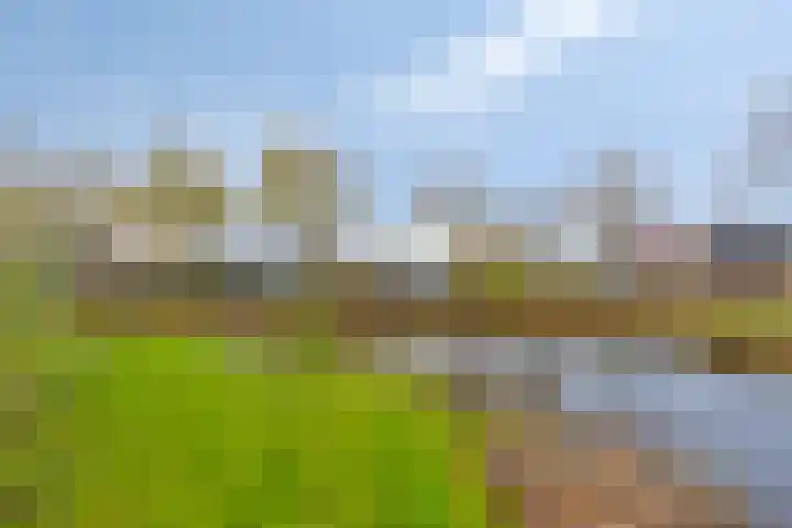 Meester van Hasseltweg 14 Waskemeer thumbnail 30