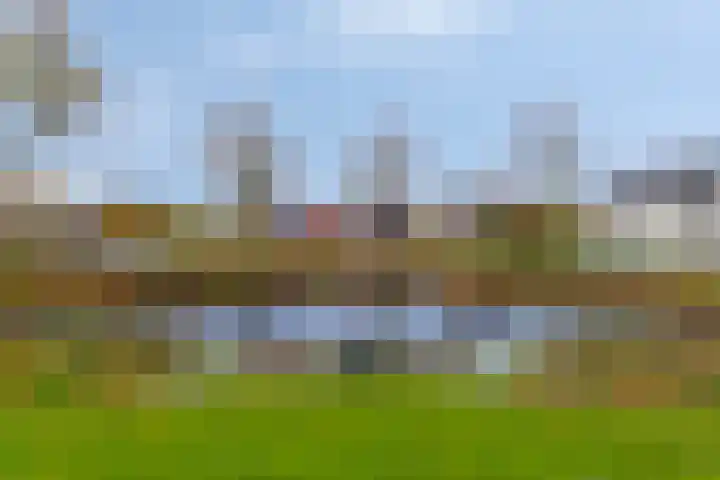 Meester van Hasseltweg 14 Waskemeer thumbnail 31