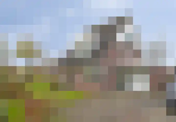 Meester van Hasseltweg 14 Waskemeer thumbnail 33
