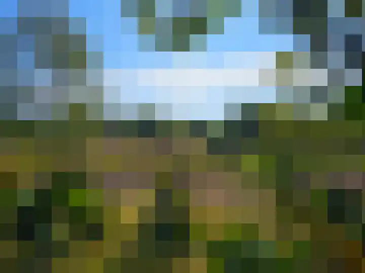 Meester van Hasseltweg 14 Waskemeer thumbnail 35