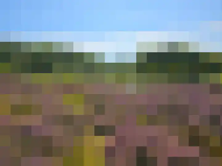 Meester van Hasseltweg 14 Waskemeer thumbnail 37