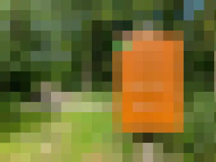 Meester van Hasseltweg 14 Waskemeer thumbnail 38