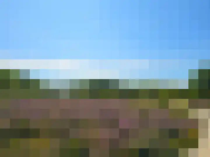 Meester van Hasseltweg 14 Waskemeer thumbnail 4