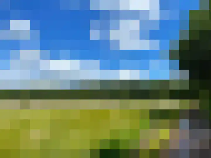 Meester van Hasseltweg 14 Waskemeer thumbnail 40