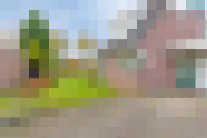 Meester van Hasseltweg 14 Waskemeer thumbnail 5