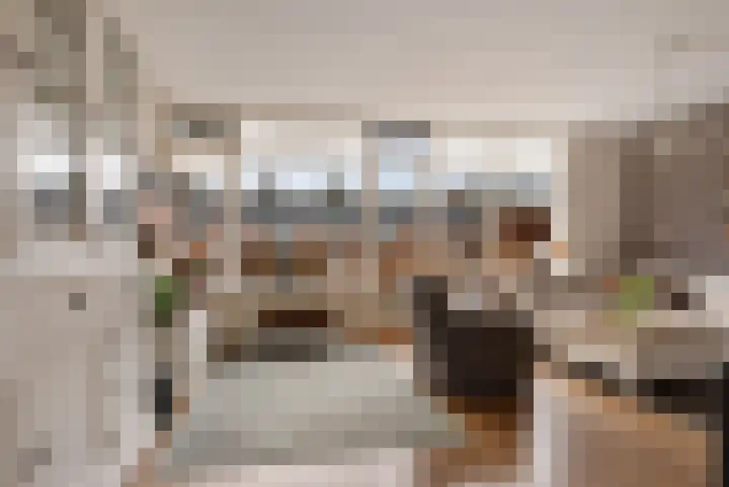 Meester van Hoornweg 8 A Bergen (NH) thumbnail 14
