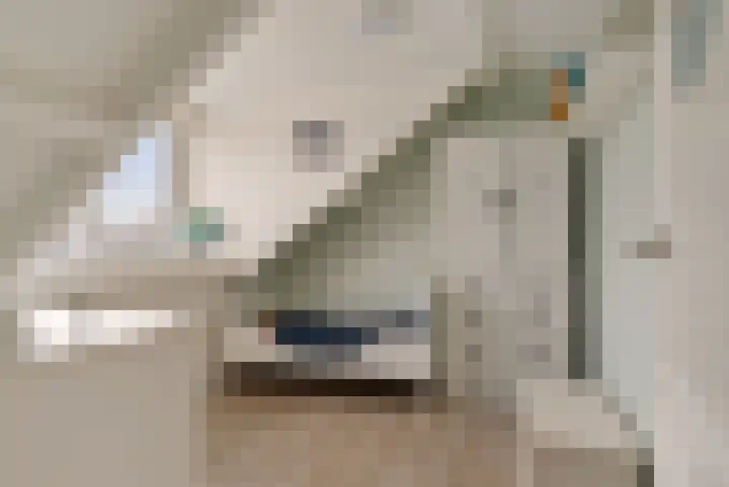 Meester van Hoornweg 8 A Bergen (NH) thumbnail 22