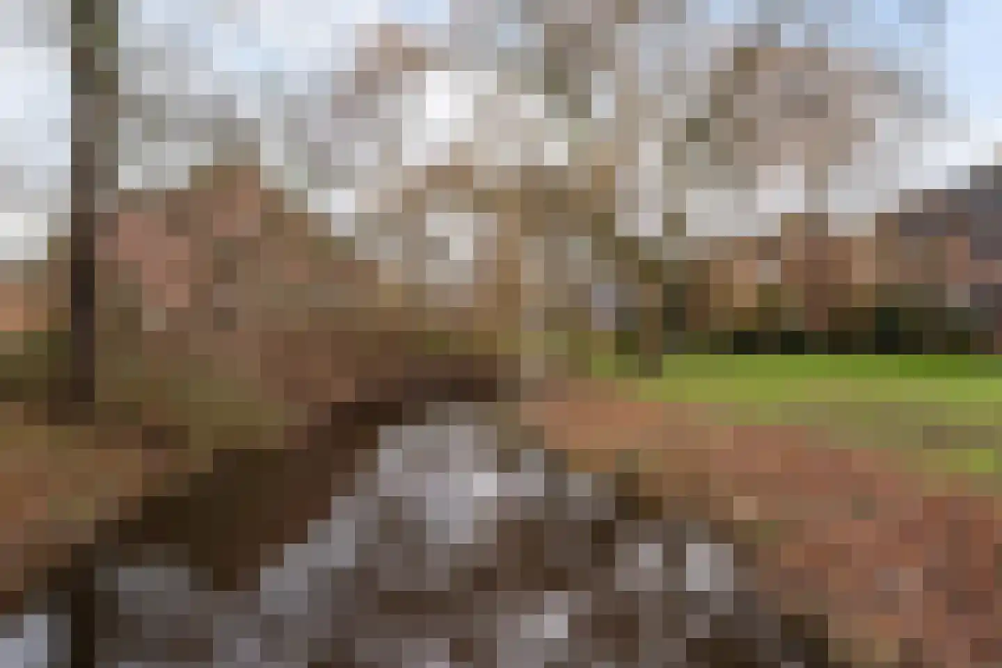 Meester van Hoornweg 8 A Bergen (NH) thumbnail 32