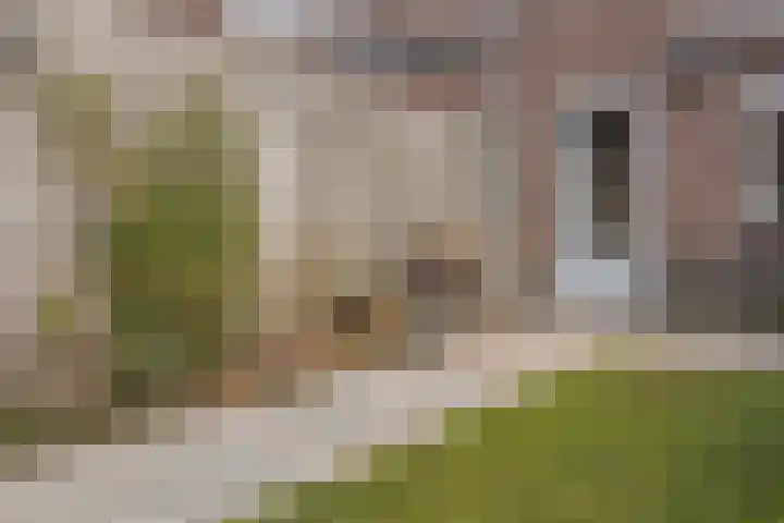 Meester van Ierselstraat 16 Rosmalen thumbnail 35