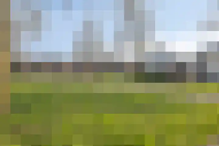Meester van Ierselstraat 16 Rosmalen thumbnail 37