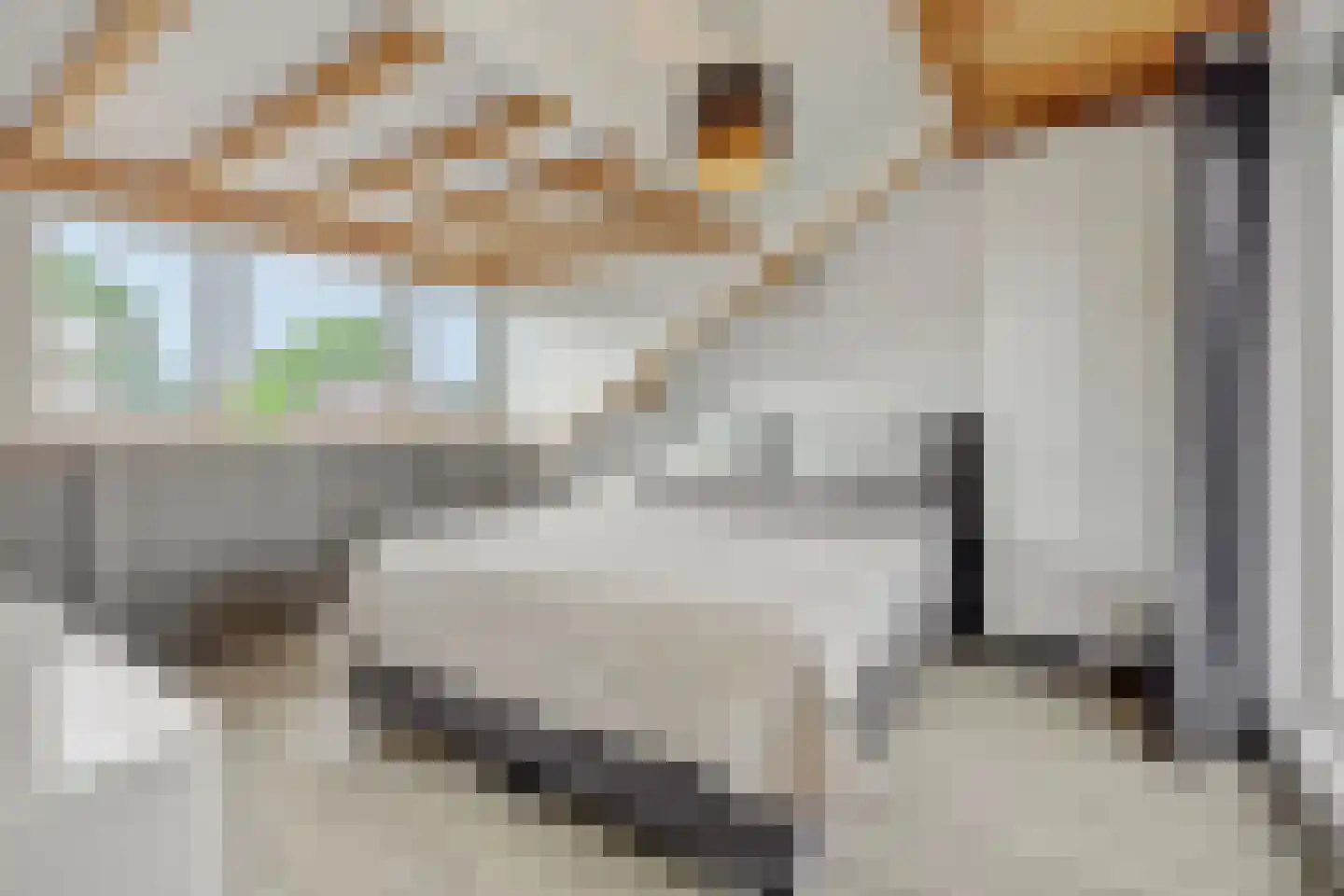 Meester van Ierselstraat 5 Rosmalen thumbnail 36