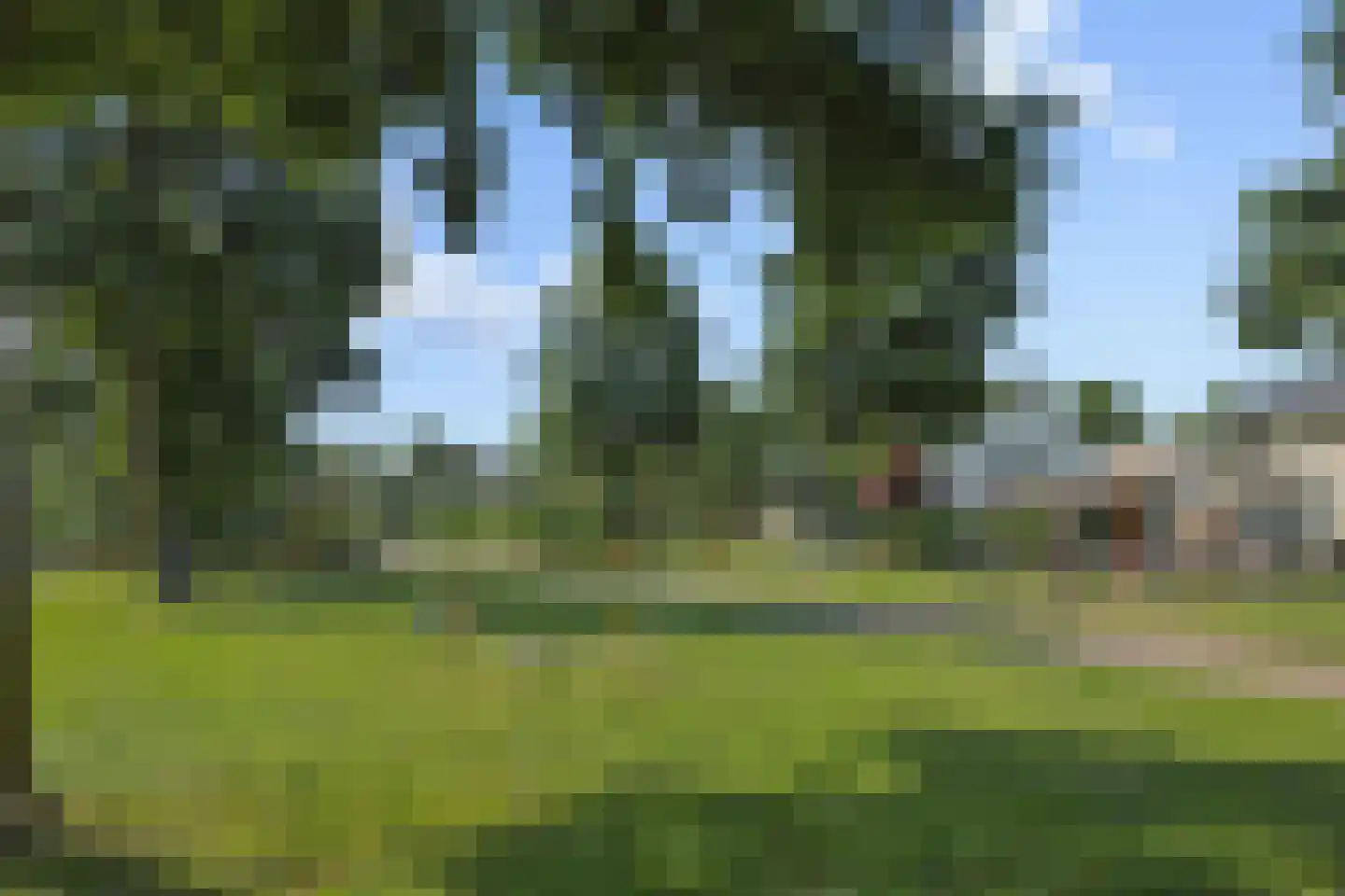 Meester van Ierselstraat 5 Rosmalen thumbnail 43