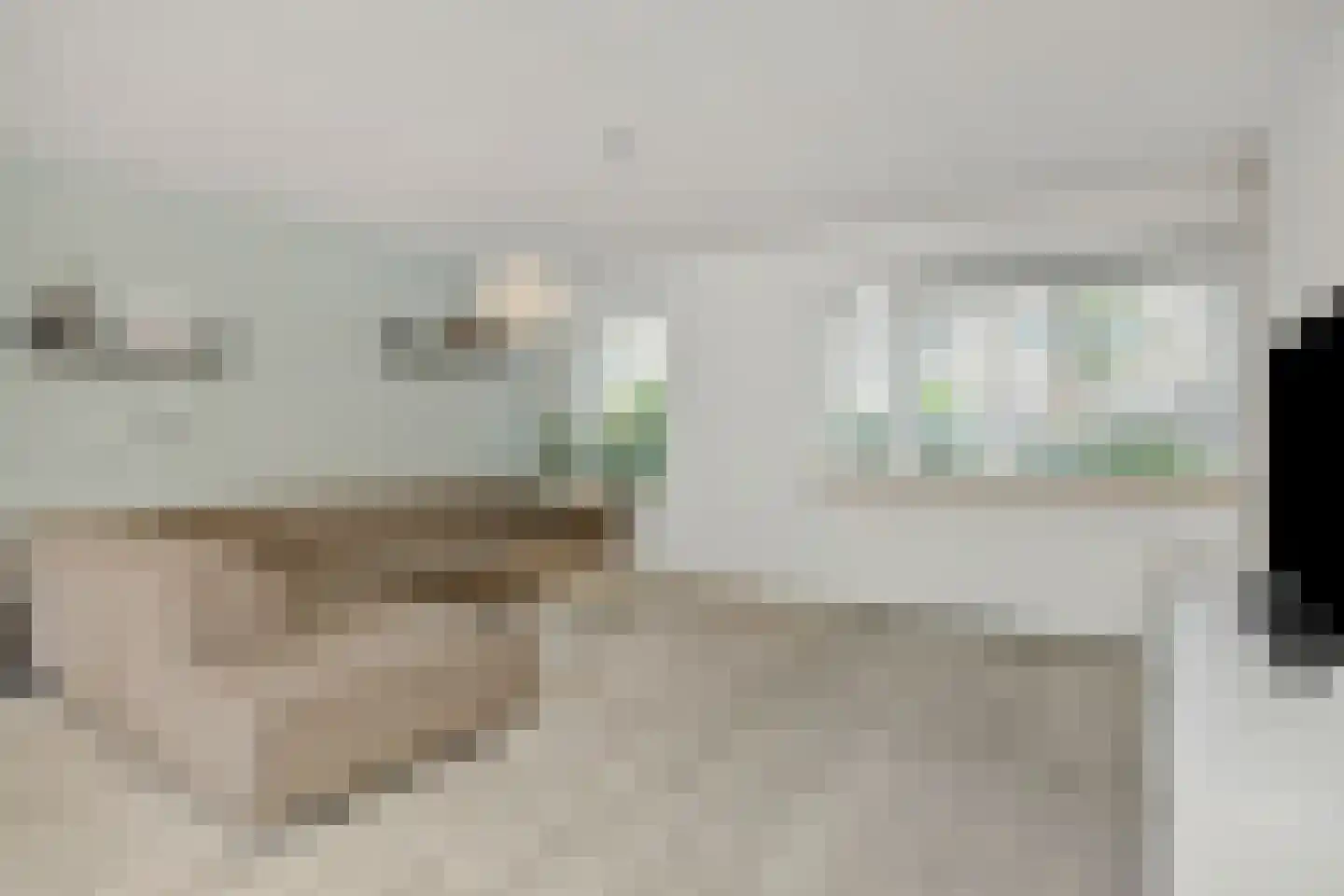 Meester van Ierselstraat 5 Rosmalen thumbnail 6