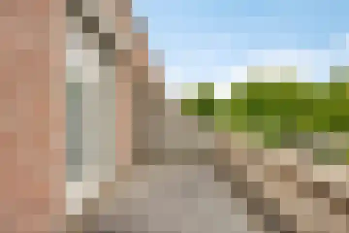 Meester van Ierselstraat 8 Rosmalen thumbnail 31