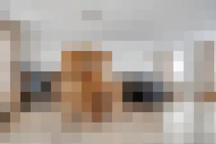 Meester van Ierselstraat 8 Rosmalen thumbnail 8