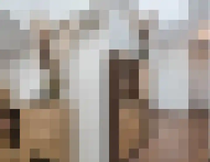 Meester van Loostraat 1 a Waarder thumbnail 14