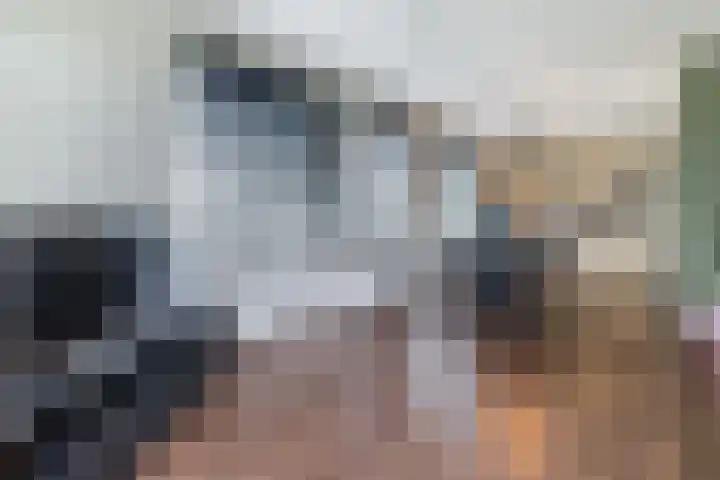 Meester van Loostraat 1 a Waarder thumbnail 18